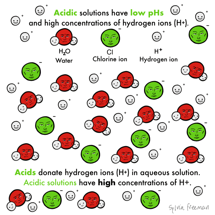 Mg clo4 2 acid or base