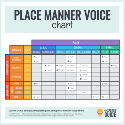 Place manner and voicing chart