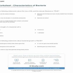 The shapes of bacteria worksheet answer key