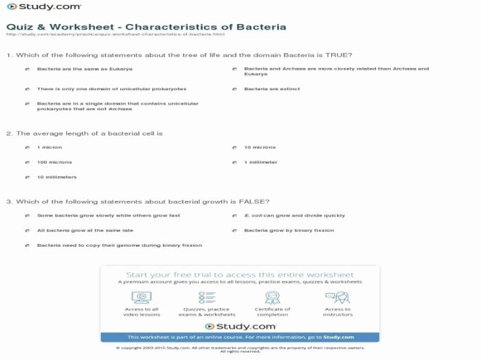 The shapes of bacteria worksheet answer key