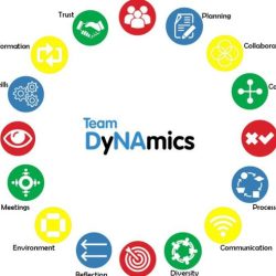 What are examples of effective team dynamics in bls