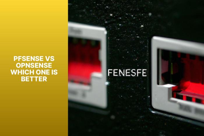 Pfsense cannot continue without at least one network interface card